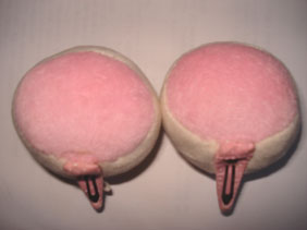 20071107-1.jpg